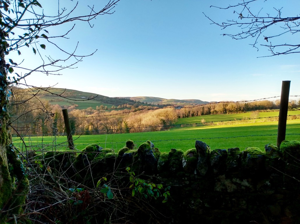 IMG 20220112 151810341 HDR